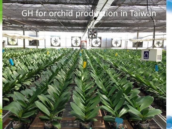 ภาพนิ่ง43