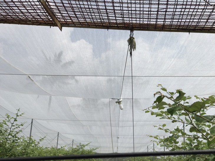 สวนพุทรา 90917_๑๗๑๐๐๙_0054