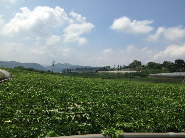 เสาวรส100917_๑๗๑๐๐๙_0021