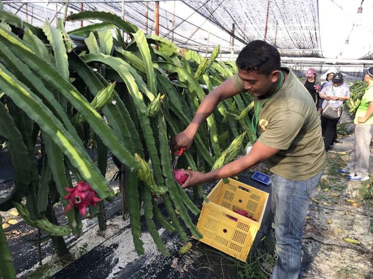 แก้วมังกร 9917_๑๗๑๐๐๙_0020