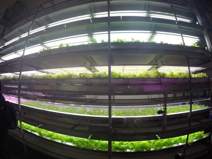 DCIM101GOPROGOPR7111.