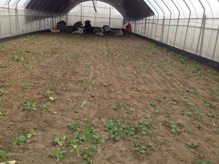 25600914ออแกนนิก_๑๗๑๐๐๙_0039